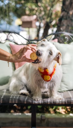 Images The Culver Hotel