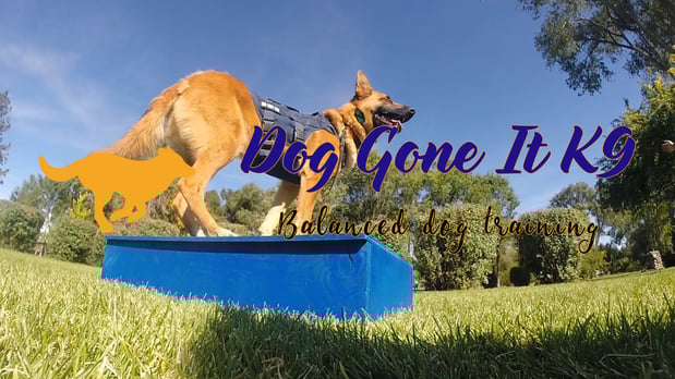 Images Dog Gone It K9
