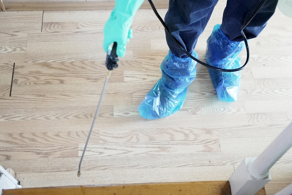 Pests doesn't take a break as the seasons change. If anything, they become more active, especially rodents who look for ways to get indoors to stay warm. Sure Thing Pest Control has protected homes in communities like Landen, Ohio with dependable pest control since 1997. Call for a free estimate.