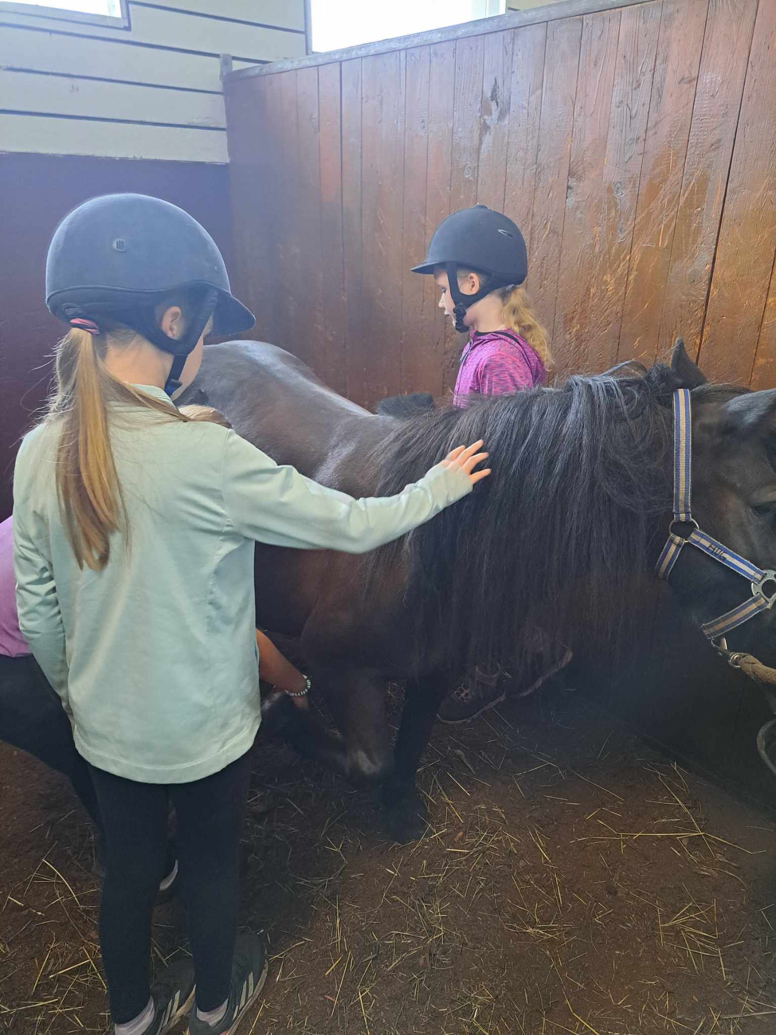 Images Relanderin Ponitalli