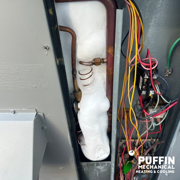 Images Puffin Mechanical