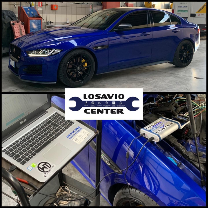 Images Losavio Center