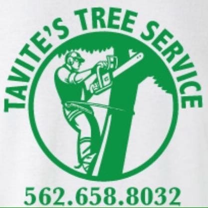 Tavite&apos;s Tree Service Inc. Logo