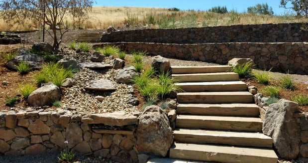 Images Paz Landscape