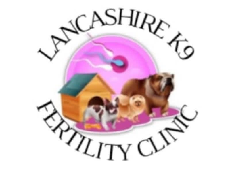 Images Lancashire K9 Clinic