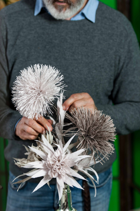 Images Cartotecnica Rossi