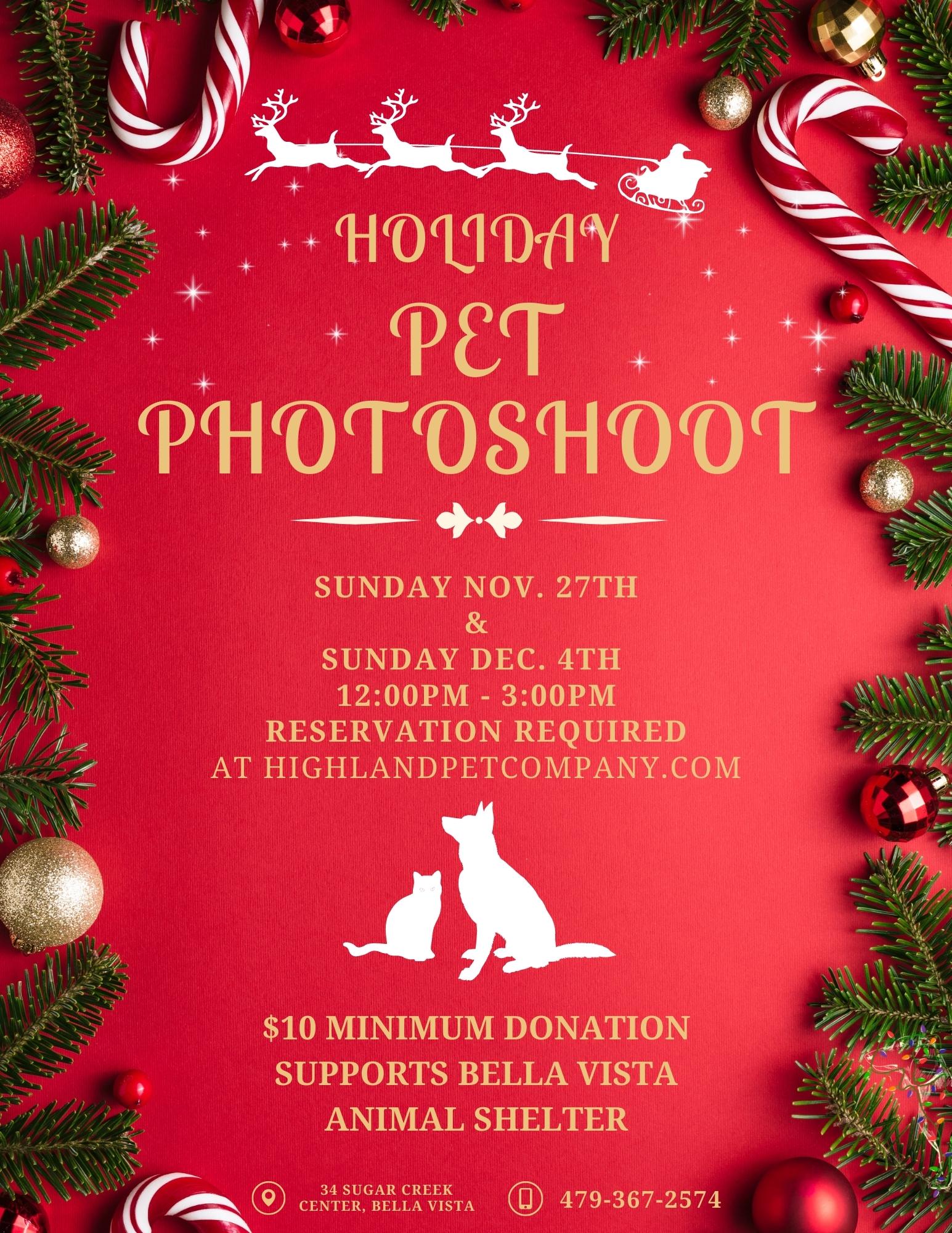 holiday-pet-photoshoot-highland-pet-company