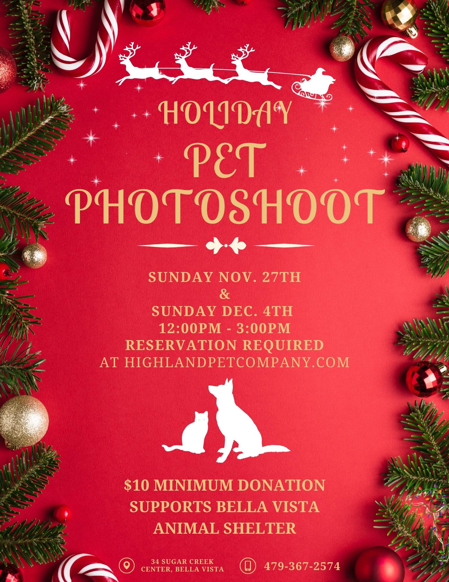 Holiday Pet Photoshoot Highland Pet Company