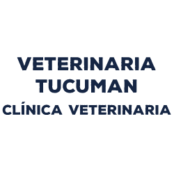Veterinaria Tucumán Clínica Veterinaria - Animal Hospital - Rosario - 0341 424-1262 Argentina | ShowMeLocal.com