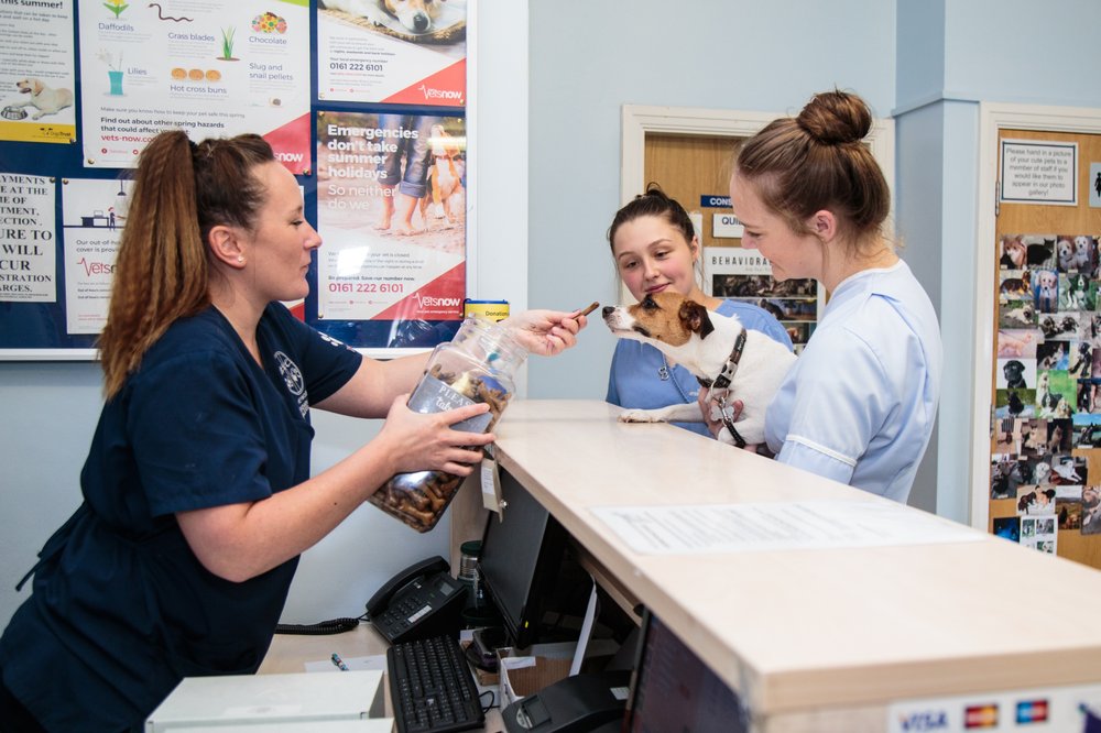 Images Heywood Veterinary Centre