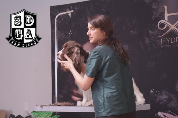 Images San Diego Grooming Academy