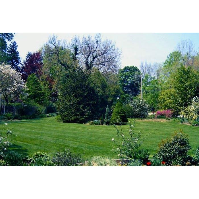 Gingerich Lawn Care