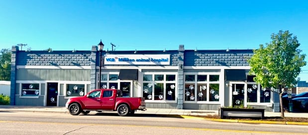 Images VCA Milliken Animal Hospital