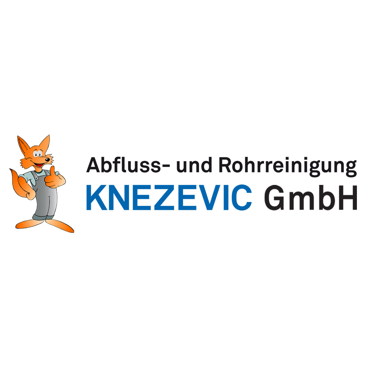 Knezevic GmbH Abfluss- u. Rohrreinigung in Dortmund - Logo