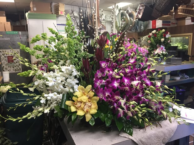 Images Evergreens Florist