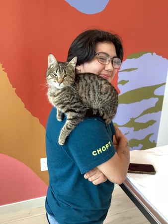 Images Petfolk Veterinary & Urgent Care - East Cobb Marietta