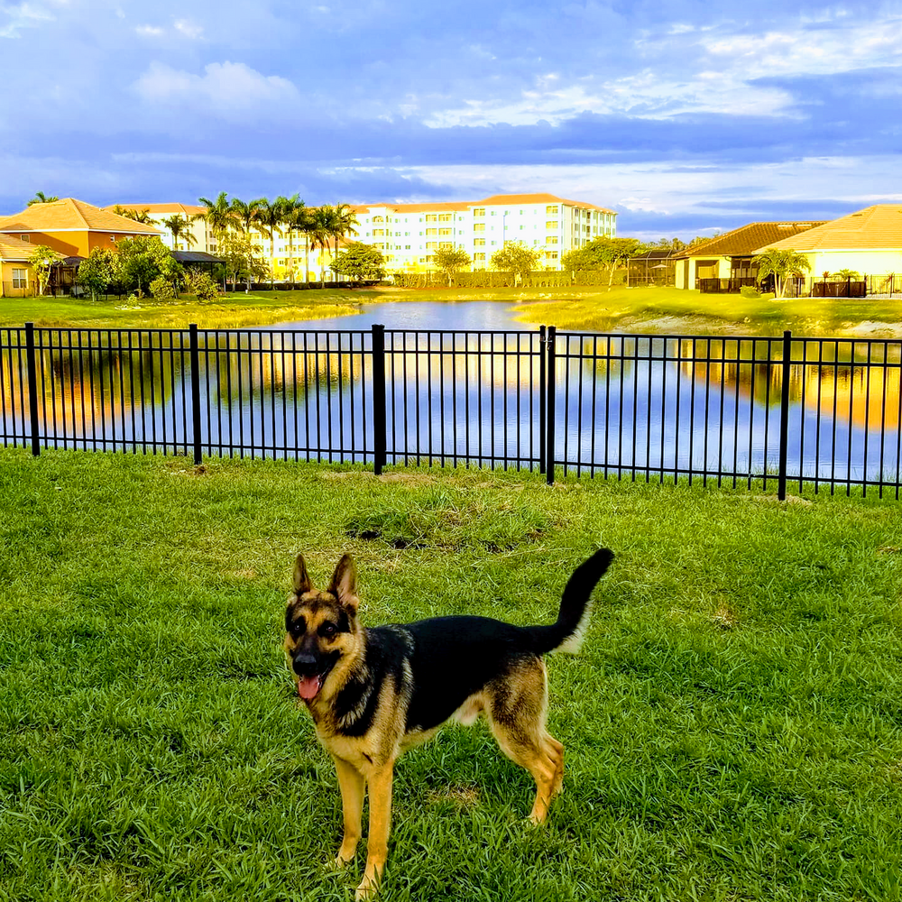 Superior Fence & Rail