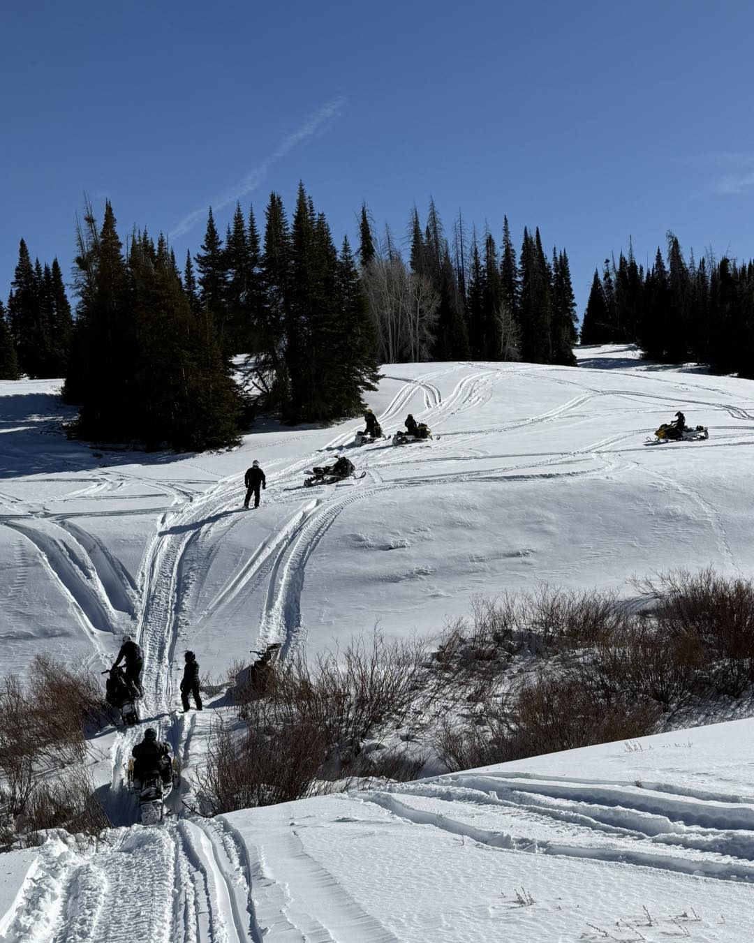 The Cabins at Bear River Lodge Image