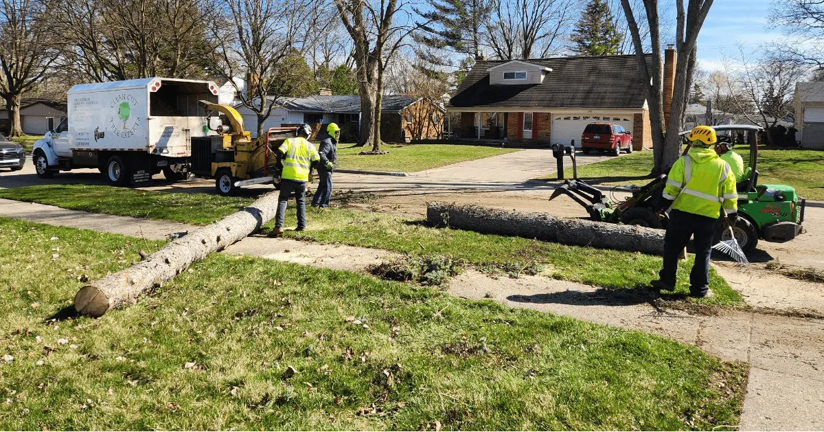 Lot Clearing Services