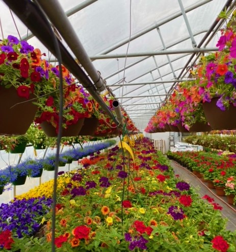 Image 3 | J & K's Four Seasons Floral and Greenhouse