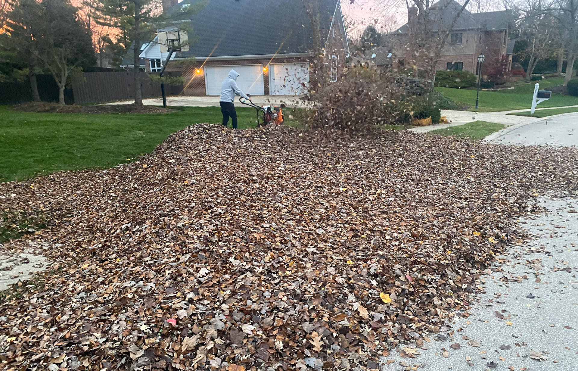 Rooted Lawn & Landscape Image