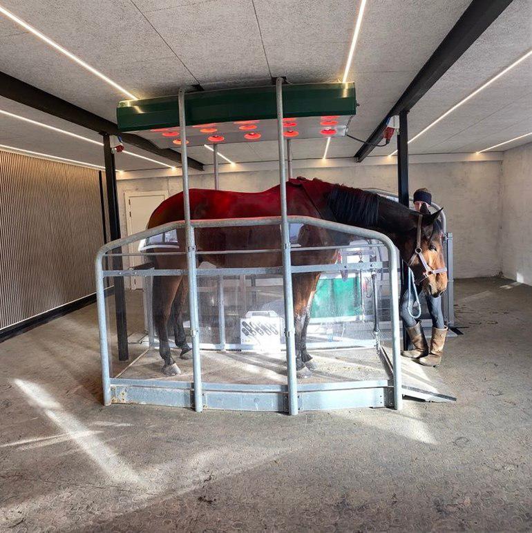 Images LM Horse Retreat ApS