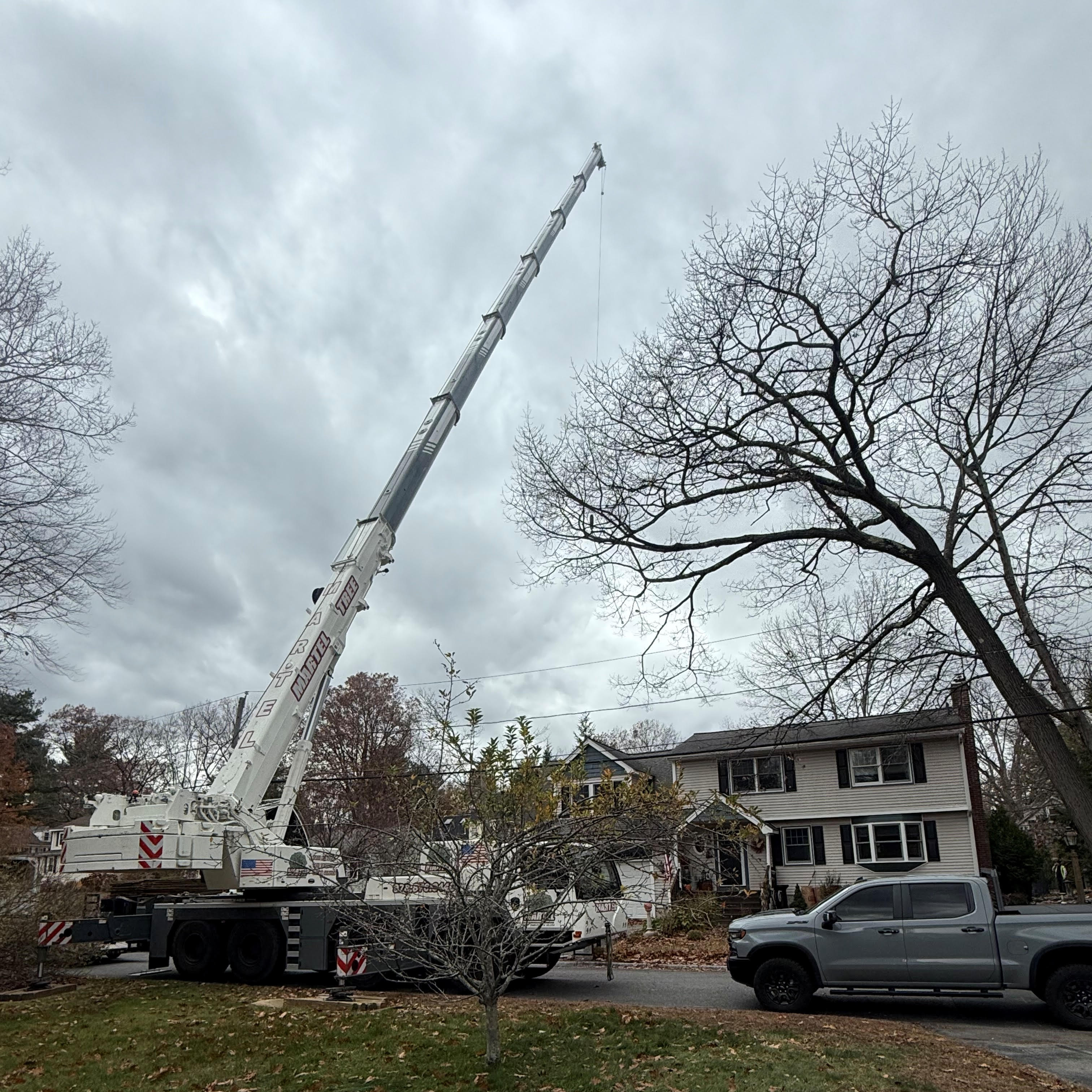 Martel Crane Service & Tree Removal Image