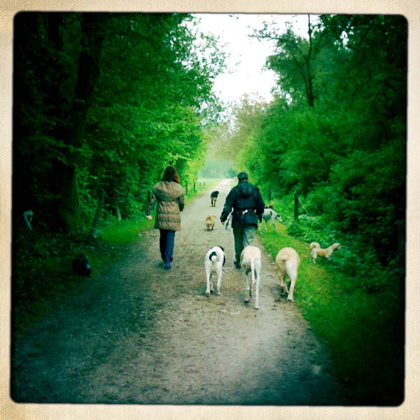 Hundegarten Bellina, Untere Landstrasse 5 in Wildberg