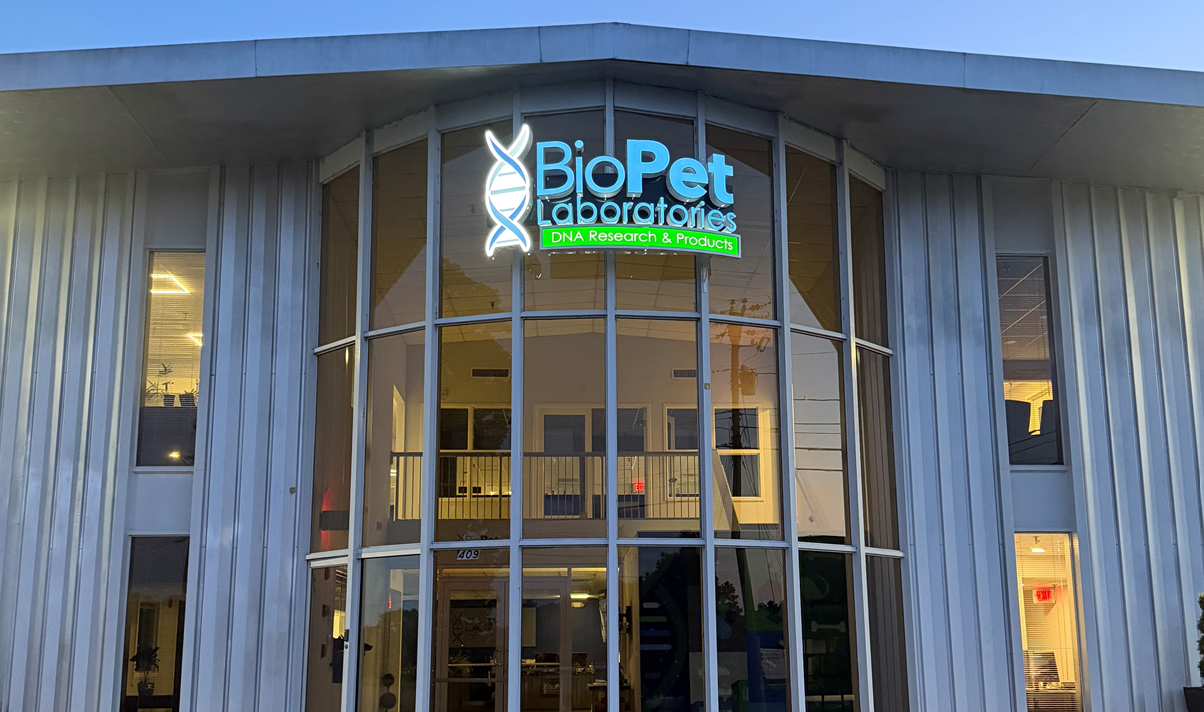 - LED Channel Letter Signs for a Medical Lab in Knoxville, TN