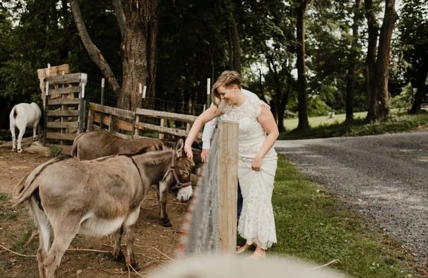 Images Fingerboard Country Inn