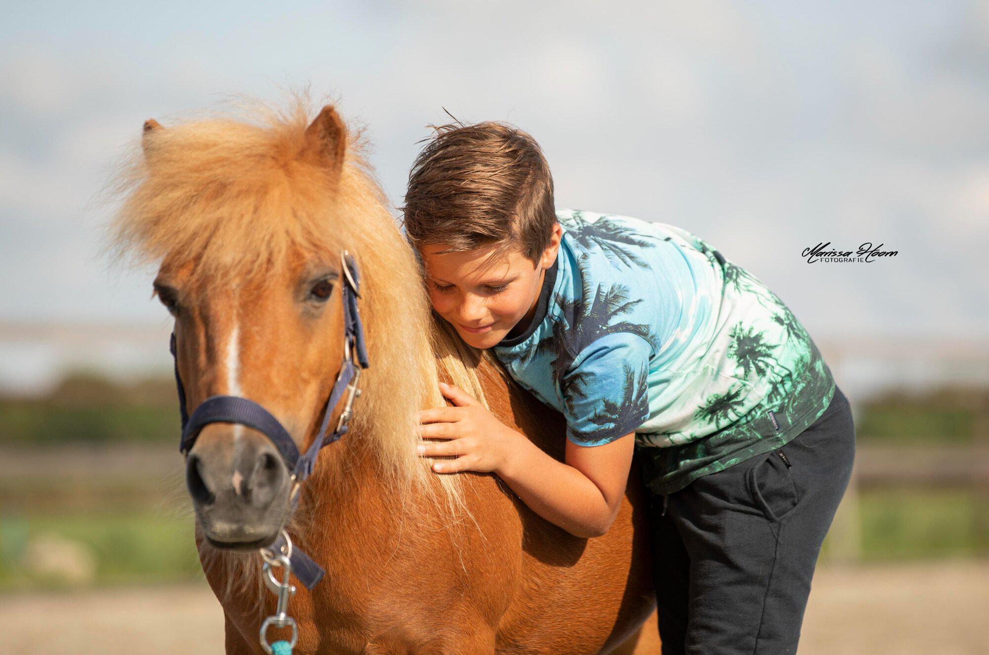 Foto's Dabeau Coaching met paarden