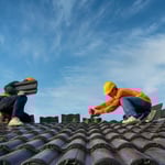 Dolphin Roofing - Roof Repair & Replacement Logo