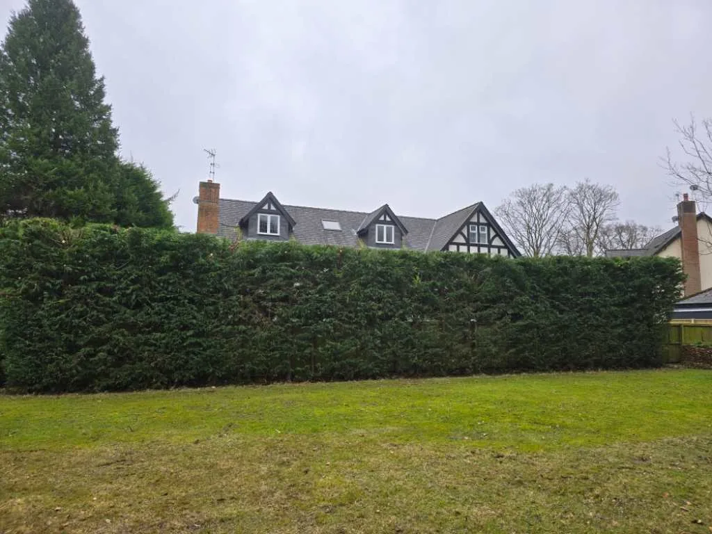 Images Aseel Construction & Landscaping Ltd