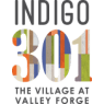Indigo 301 Logo
