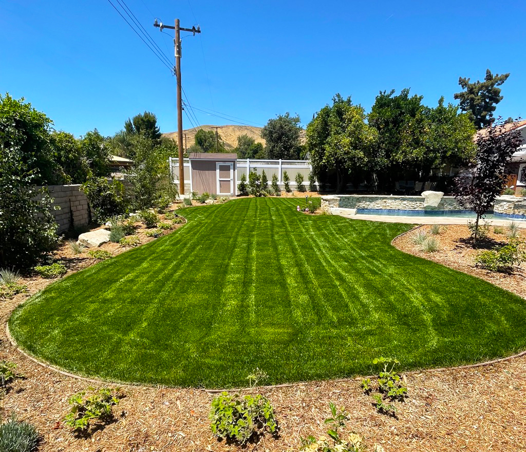 Sunny backyard with a freshly striped green lawn, landscaped garden beds, mature trees, utility pole, and a blue swimming pool.