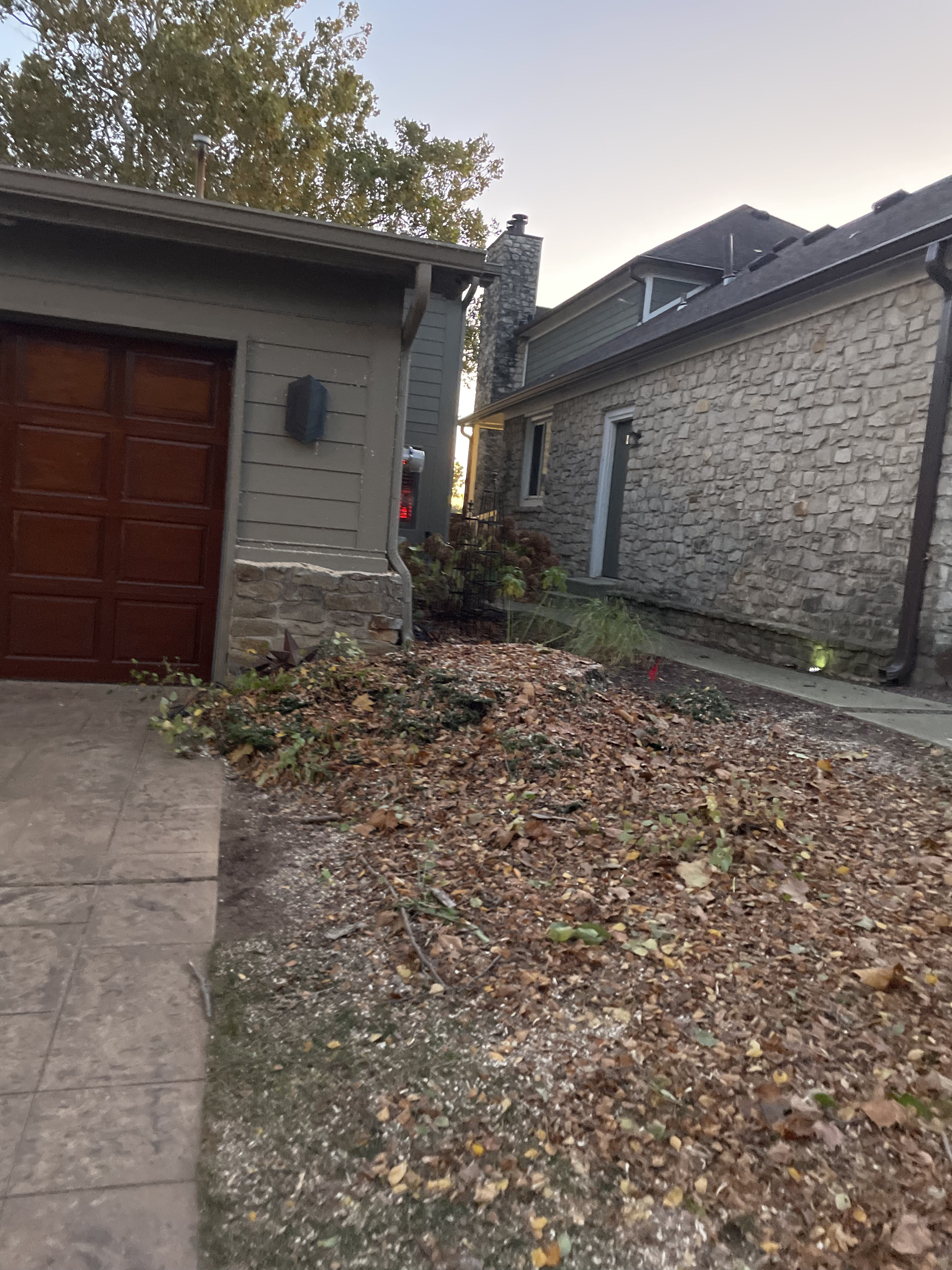 A Tree's Worth Tree Care LLC Image