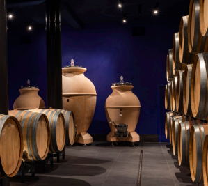 Images Parisi & Associati Studio di Progettazione