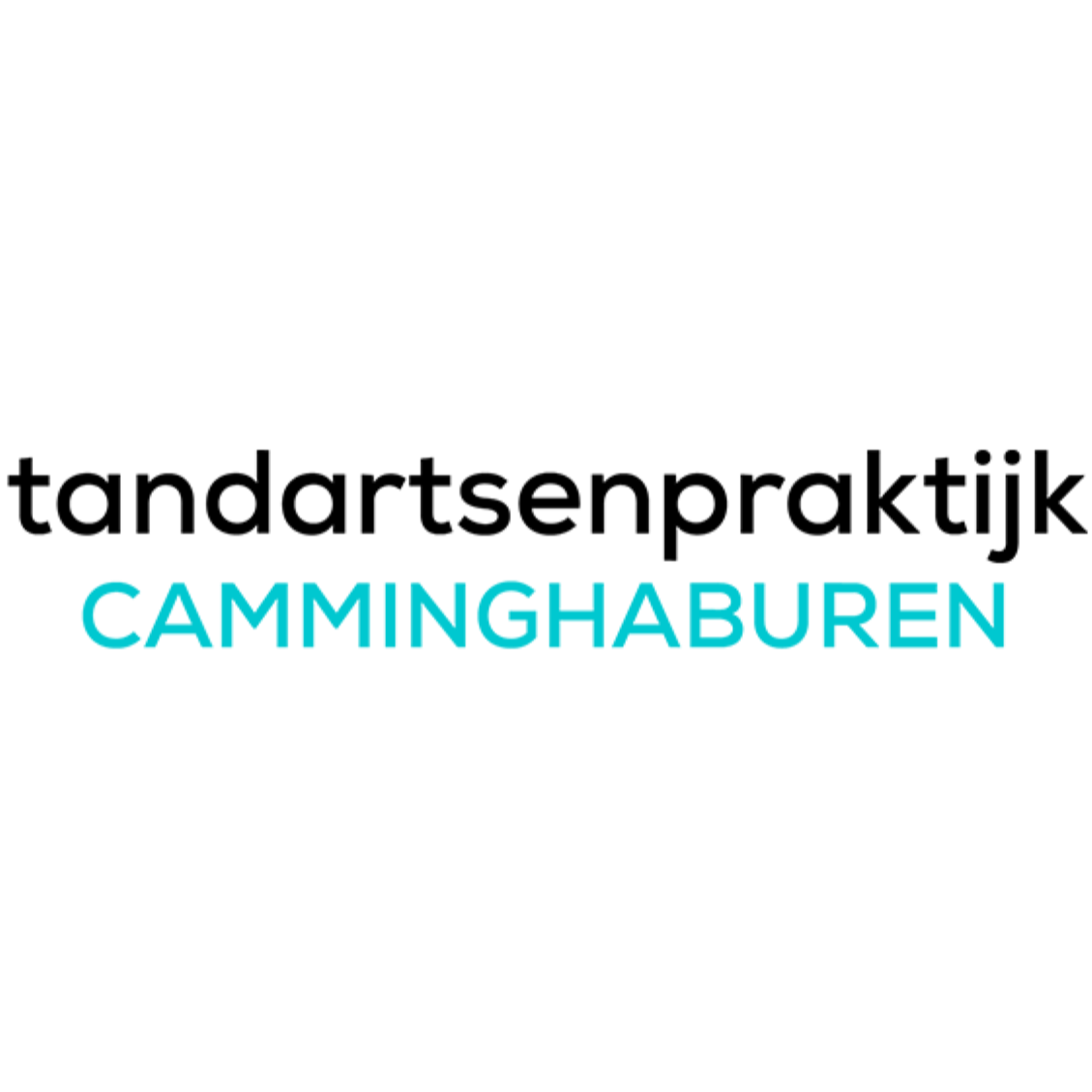 Tandartsenpraktijk Camminghaburen Logo
