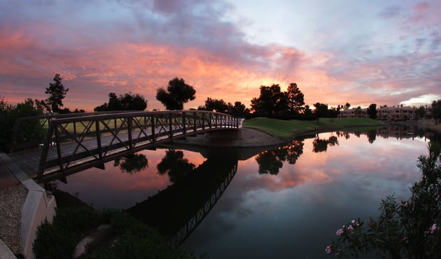 Images Holiday Inn Phoenix - Chandler by IHG