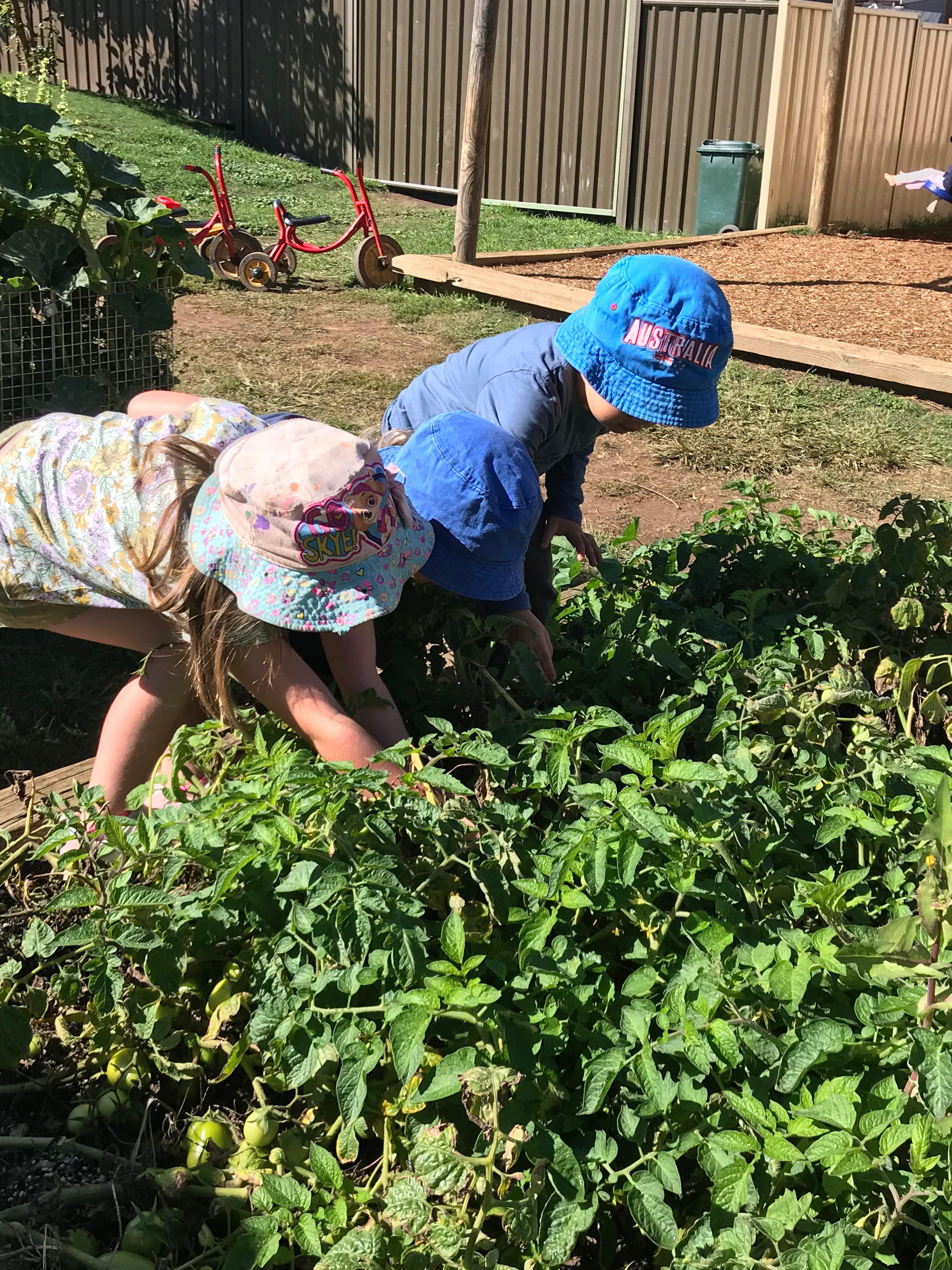 Images The Willows Preschool and Early Learning Centre