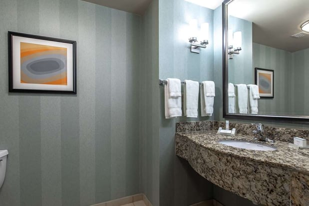 Images Hilton Garden Inn Lynchburg