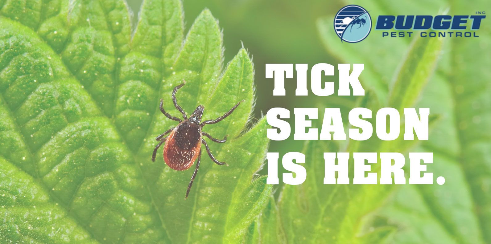 tick pest control exterminator services