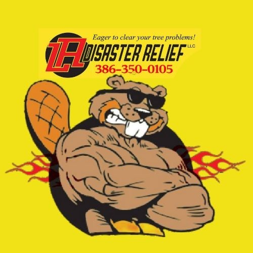 La Disaster Relief Logo