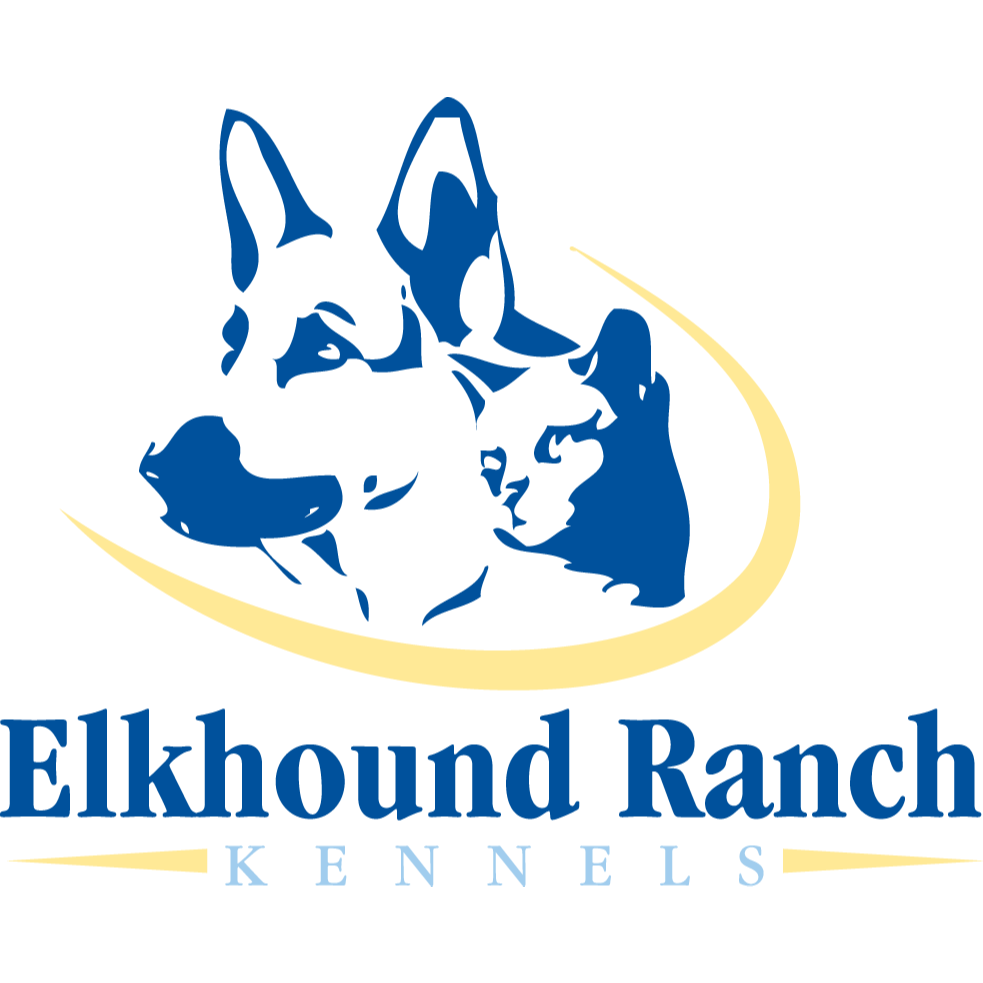 Looking for the best natural dog food brands near you? Our local pet market offers the best holistic dog & cat food brands in Kansas City, MO. Talk to our pet experts today!