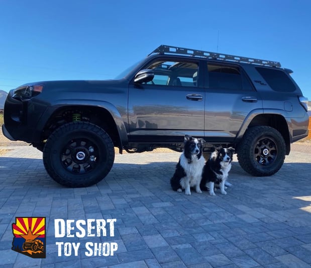 Images Desert Toy Shop