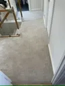 Images The Carpet and Flooring Warehouse MK