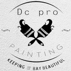 Dc Pro Painting 1