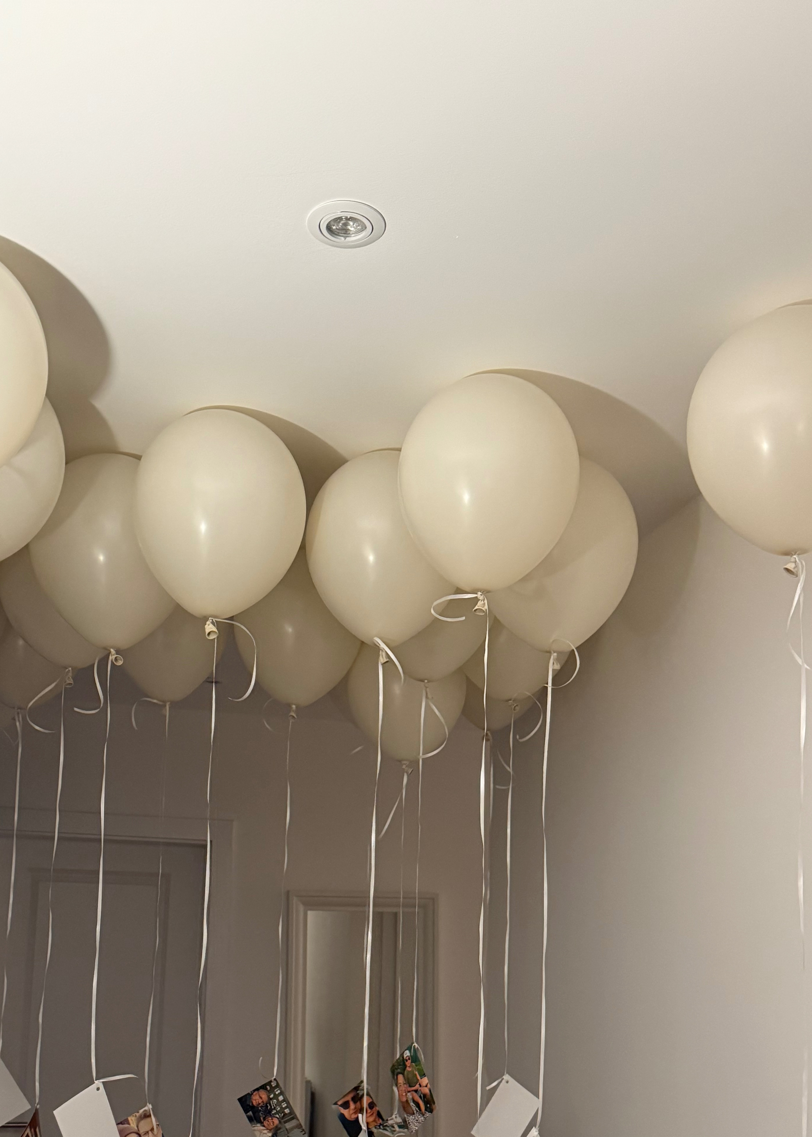 Die Packerie UG Ballonatelier, Alter Postweg 66 in Bielefeld