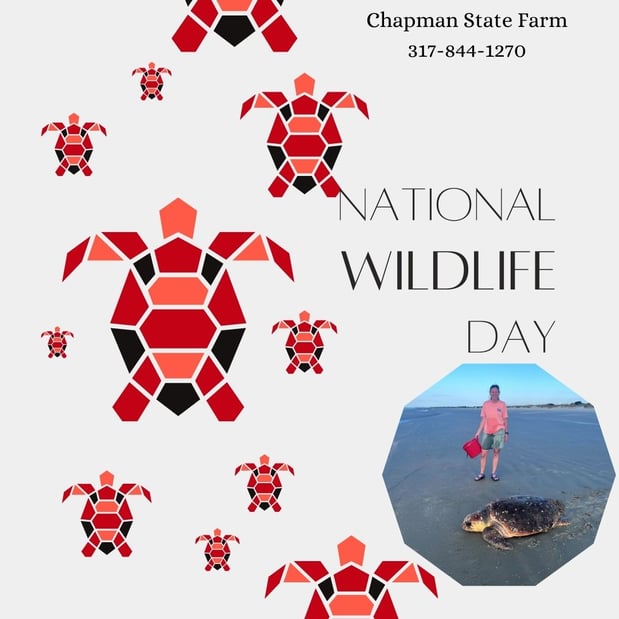 Images Teresa Chapman - State Farm Insurance Agent