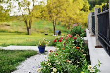 Images FireFly Lodge